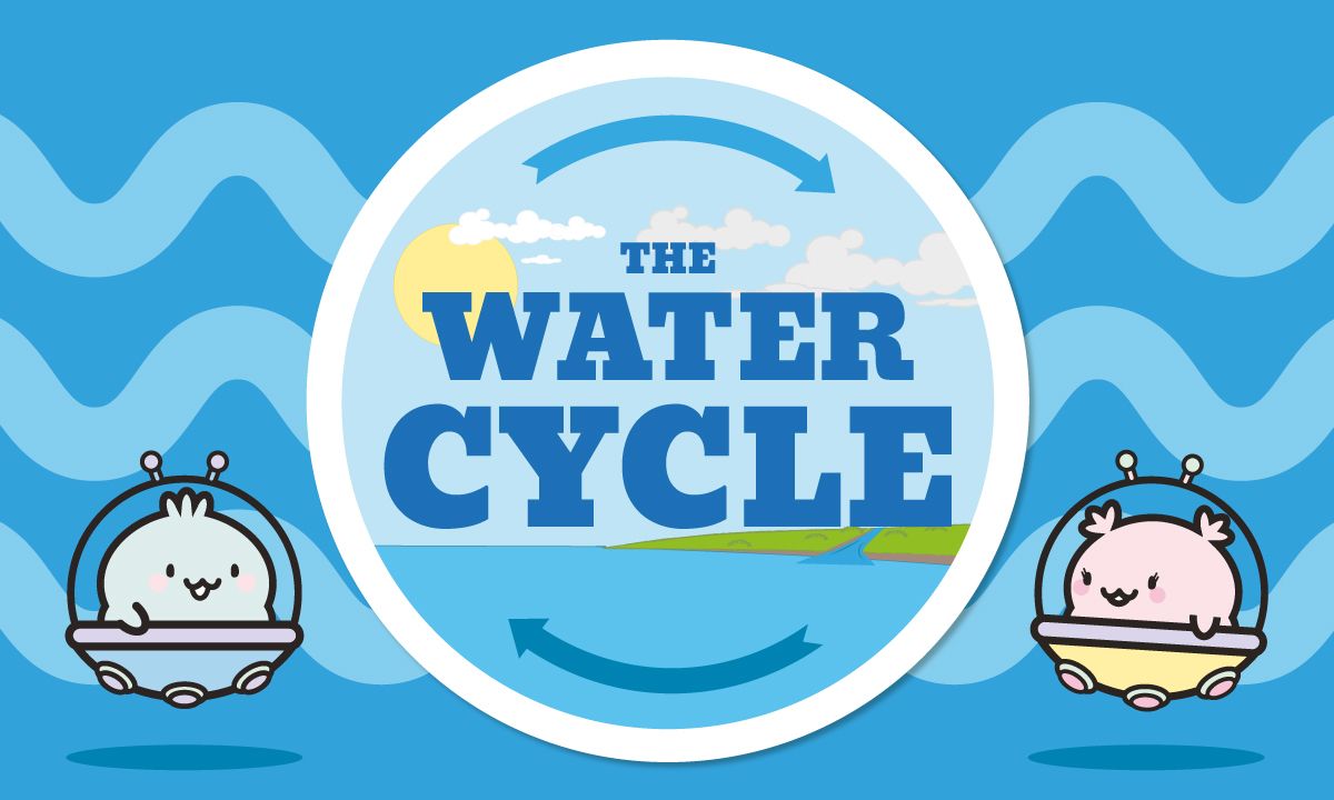 The Natural Water Cycle