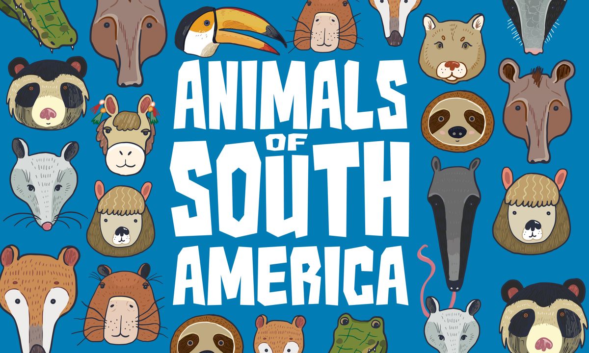 Animals of South America