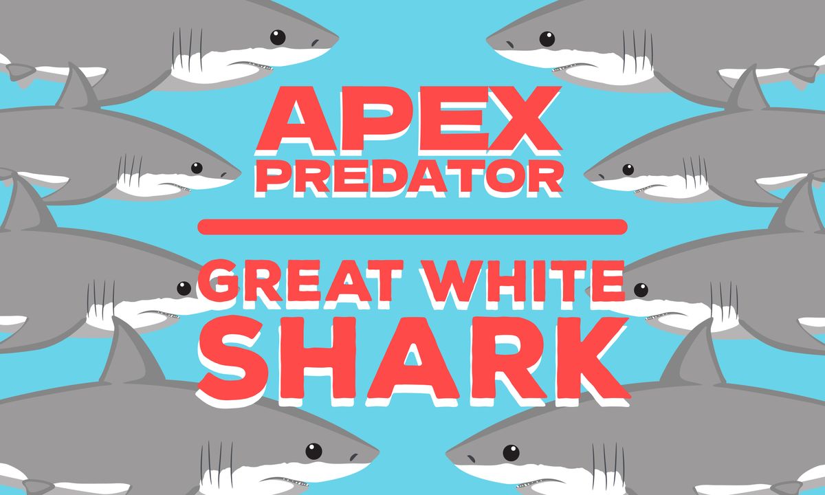 Apex Predator of the Seas: Great White Shark