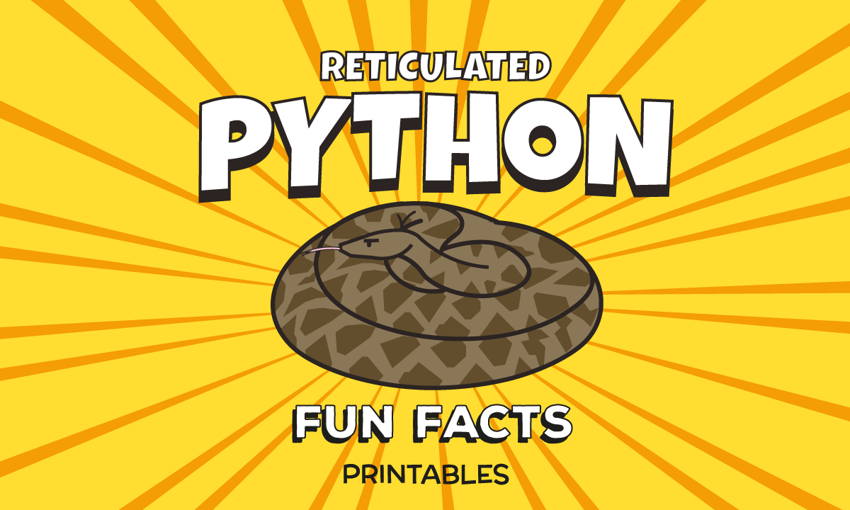 Reticulated Python Fun Facts: Creative Printable Worksheets for Kids