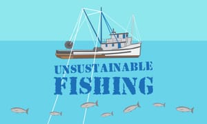 What is Unsustainable Fishing?