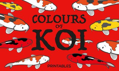 Colours of Koi