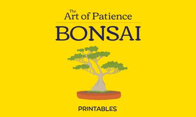 Bonsai: The Art of Patience