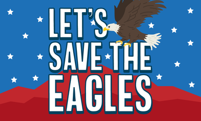 Celebrating Save the Eagles Day