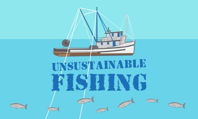 What is Unsustainable Fishing?