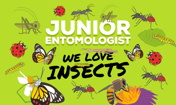 Junior Entomologist: We Love Insects
