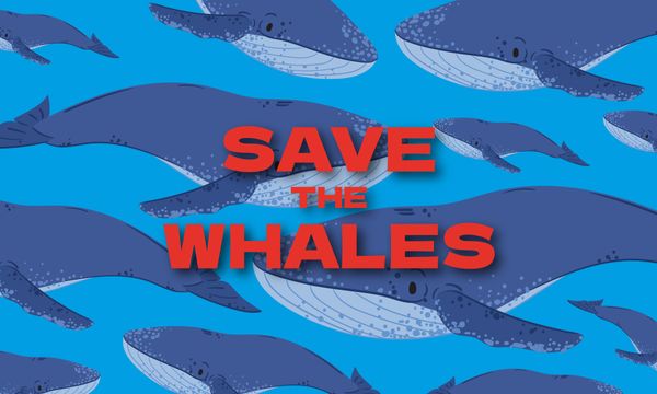 Save the Whales Posters