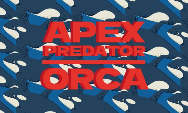 Apex Predator of the Seas: Orcas