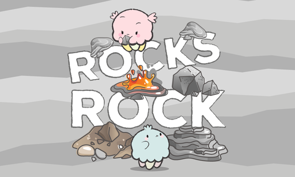 Rock Cycle: Learn About Different Types of Rocks