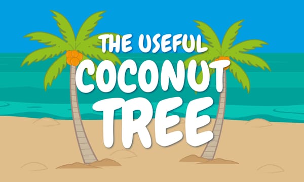 The Coconut Tree: A Tree of Many Uses