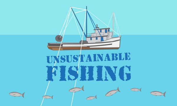 What is Unsustainable Fishing?
