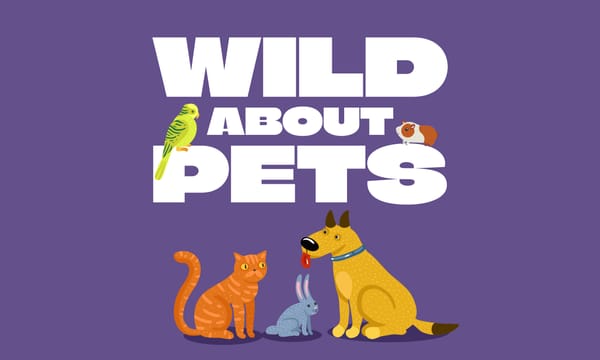 Wild About Pets: Creative Pet-Themed Printables for Elementary