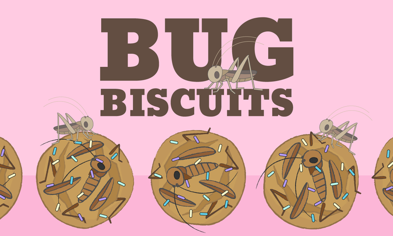 Let's Draw Bug Biscuits
