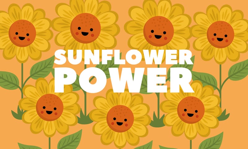 Sunflower Power: A Native American Super Crop